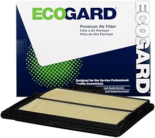 Ecoguard xa10003 premium engine filter compatible with Nissan Altima 2.5L 2013-2018.. Fast, easy, and affordable — that’s shopping the DIAYTAR Nigeria way.