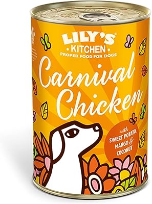 Wet food with carnival chicken lily's kitchen for dogs (400 g).. Get access to thousands of affordable products only on DIAYTAR Nigeria.