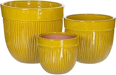 LOLAHOME LOT OF 3 CANELEAL PARDINIERS IN YELLOW CERAMICS.. Experience the ease of one-stop shopping with DIAYTAR NIGERIA's diverse catalog and nationwide delivery.