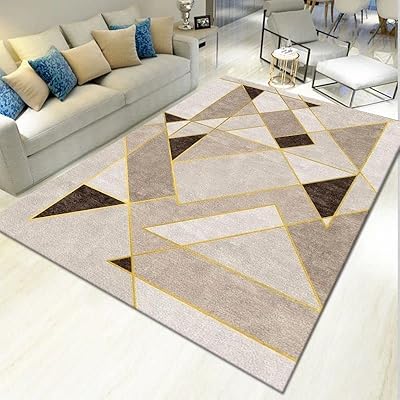Western style carpets for large living room, teenage bedroom, non -slip carpet for sofa and coffee table (NN23).. Get more, save more — only on DIAYTAR Nigeria.