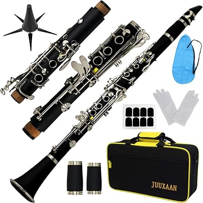 Clarino SIB in tempered rubber for beginners, nickel keys. Complete set of travel cases, soaked reeds, wiping ranges, 2 sides, clarinet support.. Shop smarter with Nigeria's premier e-commerce platform, featuring affordable products delivered nationwide.