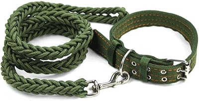 Large necklace for dog Beauty Satsuma Gold with leash and towing harness with leash for dogs.. Nigeria's fastest-growing e-commerce site offers unbeatable prices and delivery within 8 days.