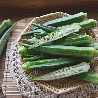 50 Lady's Finger F 1 hybrid summer vegetable seeds to cultivate in your home and vegetable garden... DIAYTAR NIGERIA brings affordable shopping to your fingertips with reliable delivery in less than 8 days.