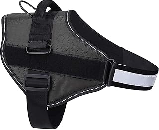 Harnae pour dog Pets Empire with reflective bands, interchangeable patches and robust upper mounting handle-1 piece (XXL: (neck 24-38 "/chest 26-38"), black).. Shop across boundaries with DIAYTAR NIGERIA's comprehensive catalog delivered nationwide at budget rates.