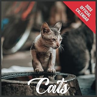 Calendar 2022 Cats: Official monthly planner 2022 cats, square calendar with 19 exclusive cat photo sessions from July 2021 to December 2022.. Experience the convenience of online shopping with DIAYTAR NIGERIA's reliable 5-8 day delivery service.