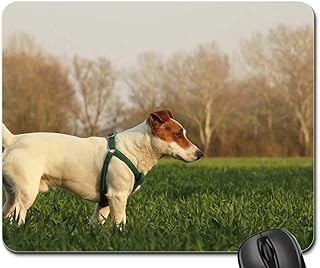 Gaming mouse mat, mouse mat, exterior dog animals animals animals of summer animals of pets garden nature.. Shop with purpose at DIAYTAR NIGERIA and receive products at unbeatable prices within the week.