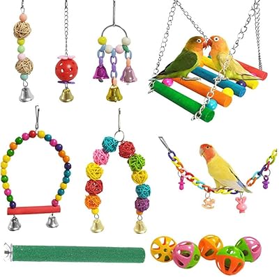 X-spring bird toys, colorful wooden swing toys, set of hung toys suspended