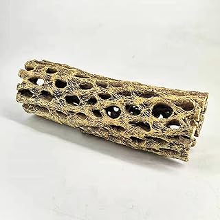 1 piece of climbing natural wood aquarium and chewing, floating aquarium branch, terrarium decorations for turtles, hermit crab, small animal reptiles 1 piece.. Shopping has never been easier — DIAYTAR Nigeria delivers it all in 5–8 days.