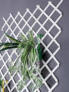 Portable expandable bamboo garden fence, suspended bamboo wooden fence, vegetable trellis frame, support fence for climbing plants, vineyards, wall decoration (105 cm white).. Enjoy the simplicity of shopping with DIAYTAR NIGERIA, offering vast choices delivered in just 5-8 days.