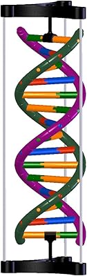 DNA double propeller model.. Discover endless shopping possibilities at DIAYTAR NIGERIA, with budget-friendly prices and reliable delivery.