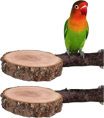 TIM bird perch support, wooden parrot support for natural apple cage in natural apple, toy for small parakeets, wigs, capsittes, conures, lovebirds, pack of 2.. DIAYTAR NIGERIA combines affordability, variety, and convenience with nationwide delivery services.