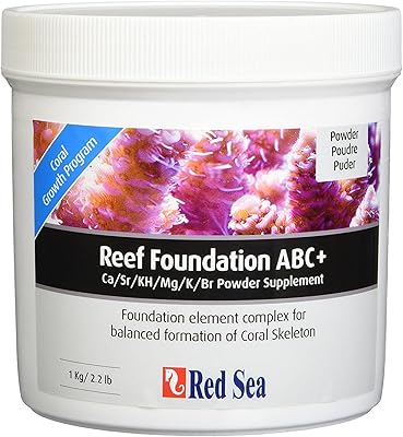 Red Sea Skills (Alphabet + Foundation) - 1 kg.. Experience shopping without limits at DIAYTAR NIGERIA, where affordability meets convenience in just days.