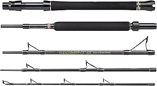 Boat travel rod Penn Regiment III - Fishing rod at sea of ​​salt water - Multi -piece portable protective tube in cordura.. Experience the ease of digital shopping with DIAYTAR NIGERIA's affordable and diverse marketplace.