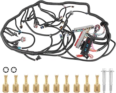 4L60E autonomous 4L60E motor wiring beam Compatible with DBC LS1 1997-2006 4.8L 5.3L 6.0L VORTEC Drive per cable.. DIAYTAR NIGERIA: Where convenience meets affordability with delivery across Nigeria in under 8 days.
