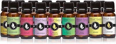 Florist - Set of 16 high -end scented oils - Eternal essence.. Discover the joy of online shopping with DIAYTAR NIGERIA's budget-friendly prices and reliable shipping.
