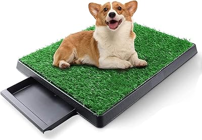Okooz® grass carpet for dogs with tray, pee carpet for washable artificial lawn dog, toilet training carpet for interior and outdoor apartments.. DIAYTAR NIGERIA brings retail convenience to your screen with affordable prices and dependable shipping.