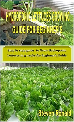 Hydroponic lettuce culture guide for beginners: step by step to cultivate hydroponic lettuce in 3 weeks for the beginner's guide.. Discover endless shopping possibilities at DIAYTAR NIGERIA, with budget-friendly prices and reliable delivery.