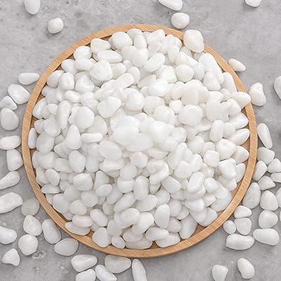 Aloe vera decorative decorative rocks, decorative stones, small garden pebbles for interior pots, bonsai, terrarium, aquarium, fairy garden, DIY.. Get what you need, when you need it — DIAYTAR Nigeria delivers fast.