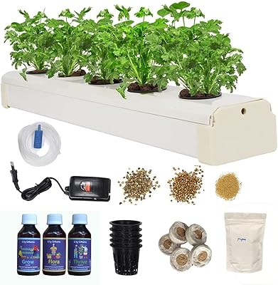 City Greens' domestic hydroponic culture kit - 5 pots of plants for beginners.. Experience the future of online shopping with DIAYTAR NIGERIA's extensive product range and competitive pricing.