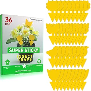 Adhesive traps for fruit flies, aleurodes, mosquitoes and insects, super sticky not toxic trap in 4 shapes for indoor, exterior and kitchen, 36 rooms, 36 pieces.. DIAYTAR NIGERIA makes quality accessible with low prices and reliable 5-8 day nationwide delivery.