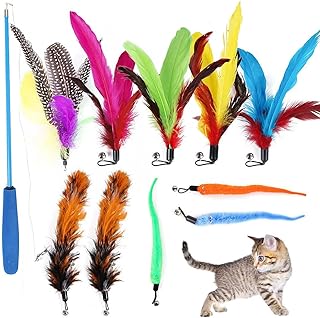 Interactive feathered toys for cats, retractable wand and 10 bird feathers and replacement rechargeable, toys to caress the interior cats.. DIAYTAR NIGERIA: Your affordable shopping destination with thousands of products delivered in days.