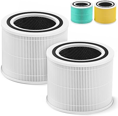 True HEPA Core 300 H13 replacement filter for Vortex Core 300 and Core 300S, Core 300-RF (White), Package of 2, 2.. One platform, endless products — welcome to DIAYTAR Nigeria.