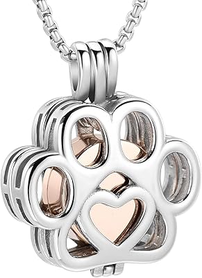 Creation jewelry for dog and cat in stainless steel with commemorative pendant in a small box, commemorative jewelry for women and men, 316L, crystal.. DIAYTAR NIGERIA: Your affordable shopping destination with thousands of products delivered in days.
