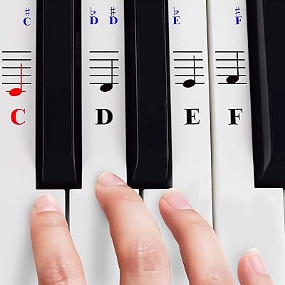 Piano keyboard stickers 49/61/76/88 keys - transparent and removable; Made in the United States.. Experience retail therapy without the financial stress at DIAYTAR NIGERIA's budget-friendly marketplace.