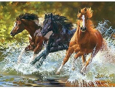 Digital paint by numbers _ Horse painting which river short DIY DIY PURC PAINT PURE PURN DIY ROOM AND Office in the form of an image without interior frame 40 x 50 cm.. Discover why millions choose DIAYTAR for affordable online shopping with delivery in just 5-8 days.