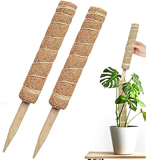 26.04 '' Foam poles for Monstera plants, 2 pieces 15.5 '' Castwave poles of cocoa, used to climb the rampant plants Monstera Philedendron Pothos.. DIAYTAR NIGERIA: Your partner in affordable online shopping with reliable 5-8 day shipping nationwide.