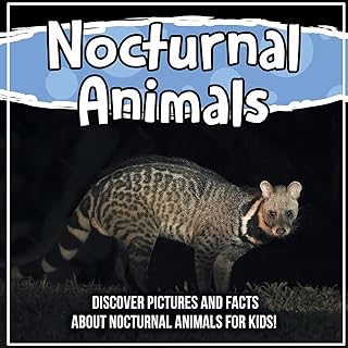 Nocturnal animals: Discover images and facts on night animals for children!.. DIAYTAR NIGERIA connects you with endless possibilities through our affordable e-commerce platform.