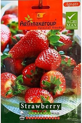 High quality strawberry seeds of the Agrimax® group "Garden Care.. Embrace a new era of online shopping with DIAYTAR NIGERIA's extensive range and budget-friendly prices.