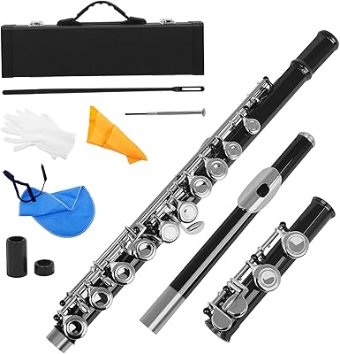 Western musical instrument fauno nickelé, C 16 holes key with glove, gloves and small padded screwdriver.. DIAYTAR NIGERIA: Your affordable gateway to thousands of products delivered promptly nationwide.