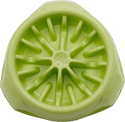 Dog food bowl 3 in 1 outward hound - adjustable slow food bowl, green.. Shop without compromise at DIAYTAR NIGERIA, where quality, affordability, and quick delivery coexist.