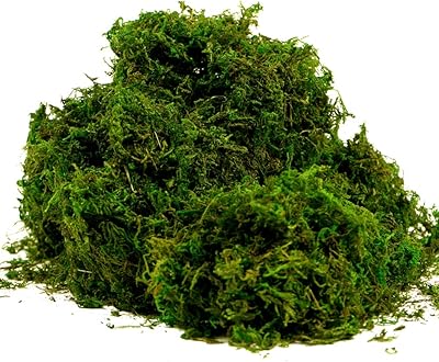 Fresh green artificial foam basher for wedding terrarium decoration (8 oz).. Shop with confidence at Nigeria's leading affordable e-commerce platform with reliable delivery services.