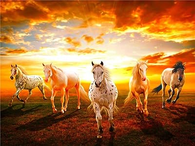Komedo oil painting by horses of horse animals mural DIY sunset photo acrylic canvas canvas decoration 50x40cm (20x16 inch) without framework.. Online shopping made simple and affordable — DIAYTAR Nigeria.