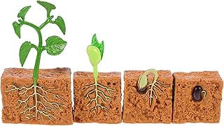 A green bean life cycle game, children's educational development toy.. DIAYTAR NIGERIA redefines convenience with our diverse marketplace and affordable nationwide shipping.