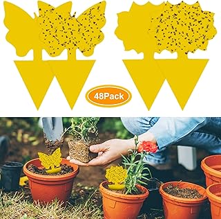 Tighting traps with yellow walls to fight against insects, flies, mosquitoes, mushrooms, aphids, aleurodes and leaf miners (48 pieces).. Experience shopping freedom with DIAYTAR NIGERIA's vast selection and 5-8 day nationwide delivery service.
