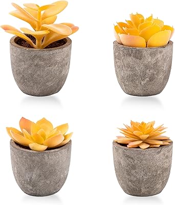 Artificial succulents Jello Fly 4 -piece (yellow).. DIAYTAR NIGERIA delivers more than expected with our extensive catalog and 5-8 day delivery service.