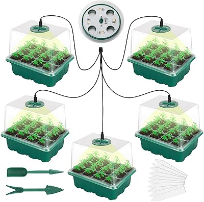 Package of 5 Ingtu germination trays with dome of growth and growth humidity - perfect for interior gardening, starting and propagation of seeds.. Discover endless possibilities with DIAYTAR NIGERIA's extensive product range and affordable shipping.