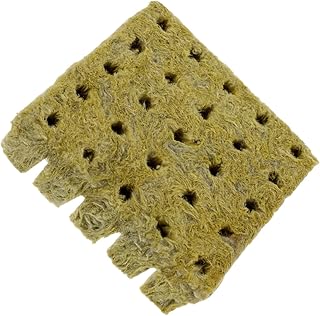 Coco 100 pieces planting blocks of garden cuttings and stores growing plants at home cutting blocks of cutting in sponge easy to make the pottery in metal.. Great finds. Great prices. Fast shipping. That’s DIAYTAR Nigeria.