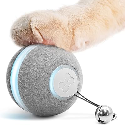 Interactive interactive toy Cheerble for kittens, automatic rolling ball for interior kittens, animal animal ball with lights and bell, gray.. Order today, receive in days — DIAYTAR Nigeria makes it possible.