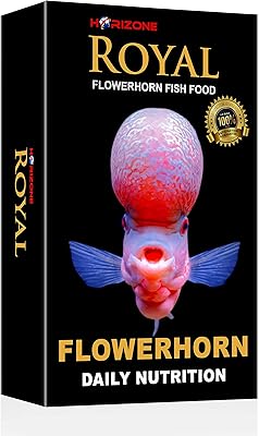 Royal Flowerhorn 100 gram, multicolored, horizon.. DIAYTAR NIGERIA: Where shopping meets satisfaction with affordable prices and prompt delivery services.