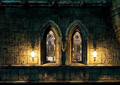 7X5 PENDER BOTH FOOD FOR PHOTOGRAPHY OF Gothic castle.. DIAYTAR NIGERIA combines affordability, variety, and convenience with nationwide delivery services.