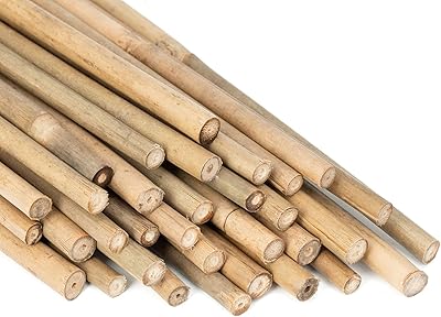 Natural garden bamboo sticks for indoor and outdoor plants, 20 pieces of tomatal support stakes, beans, pots in jar by Gajinang - 16 inches.. From daily needs to rare finds, DIAYTAR Nigeria brings it to your door.