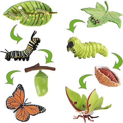IFTNOTEA 8PCS figurines of the butterfly life cycle, children's toy with Samia Cynthia figurine - Butterfly caterpillar kit, Montessori toy for 3 4 5 6 years.. DIAYTAR Nigeria: Discover more, spend less, and enjoy delivery within 5–8 days.