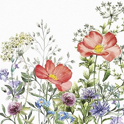 Paper towels 3 thicknesses Spring flowers Marguerite flowers for cutting lunch 33 cm x 33 cm - pack of 20 (meadow in June).. DIAYTAR NIGERIA: Your affordable gateway to thousands of products shipped nationwide within the week.