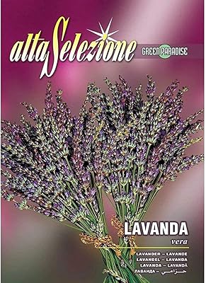 Ulta High quality Ulta Silica Lavender seeds.. From fashion trends to home essentials — find it on DIAYTAR Nigeria.