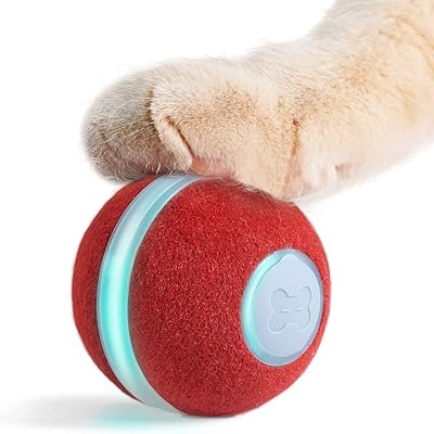 Intelligent interactive interactive toy for cheerble cat, rebounding rolling ball with automatic motion for interior kittens, animated animal ball with lights and bell, red, red, red, red, red, red.. DIAYTAR NIGERIA brings affordable products to every doorstep with our reliable 5-8 day shipping.