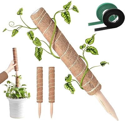 4 picts of foam column, plant support stakes for indoor climbing plants that grow higher, columns of coconut flowers and monstera, foam column for monstera plants.. DIAYTAR NIGERIA brings the market to your screen with thousands of affordable products delivered to your door.